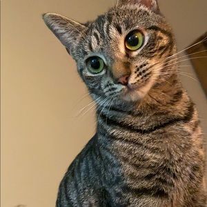 Meet your Posher, Andrew